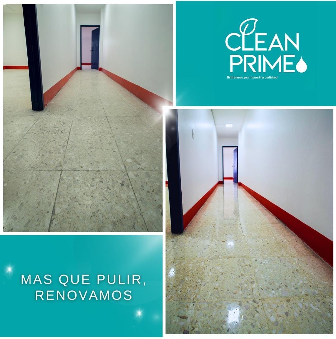 Más que pulir, renovamos